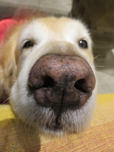 ファイル 5711-2.jpg