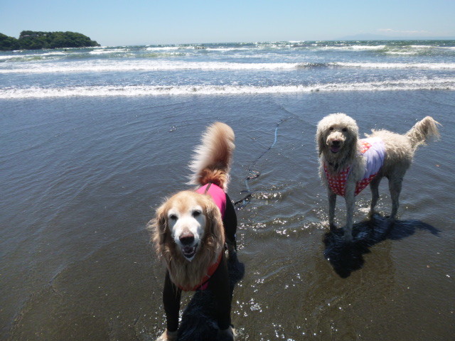 ファイル 5712-2.jpg