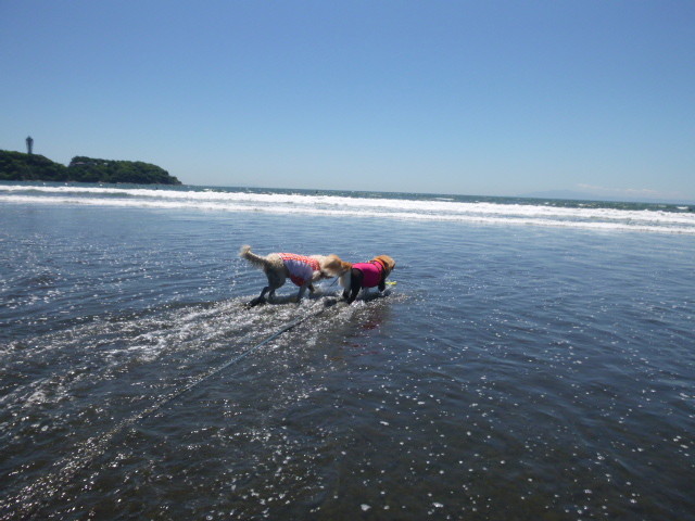 ファイル 5712-4.jpg