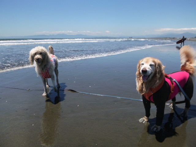 ファイル 5712-5.jpg