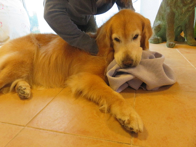 ファイル 5713-5.jpg