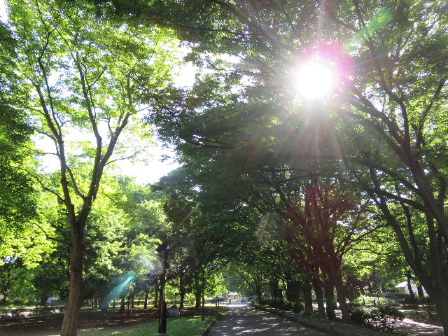 ファイル 5714-3.jpg