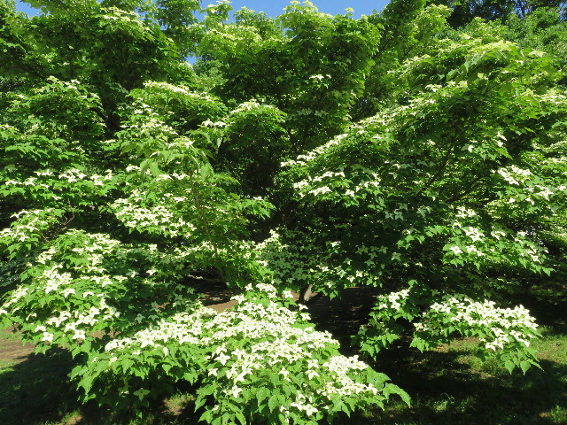 ファイル 5714-5.jpg