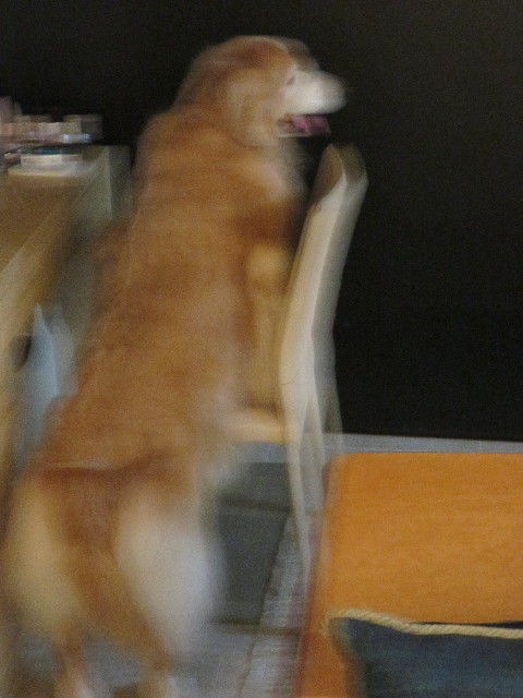 ファイル 5715-1.jpg