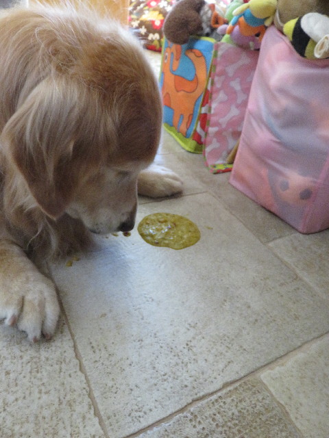 ファイル 5715-3.jpg