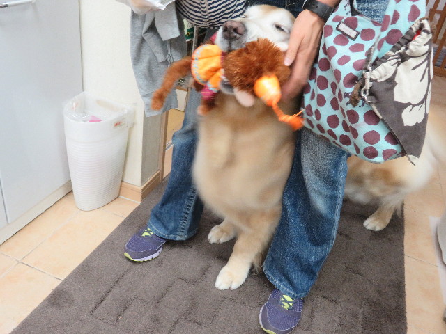 ファイル 5715-5.jpg