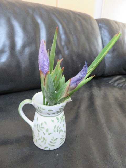 ファイル 5716-4.jpg