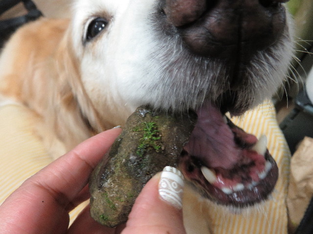 ファイル 5716-5.jpg