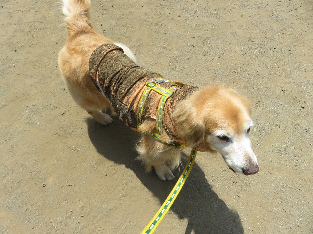 ファイル 5717-3.jpg