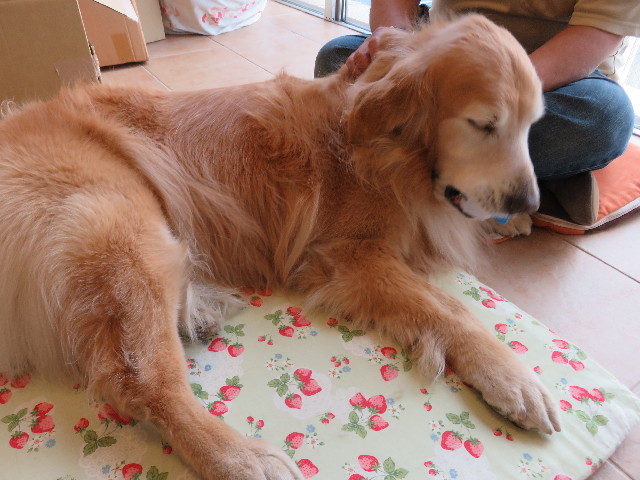 ファイル 5717-5.jpg