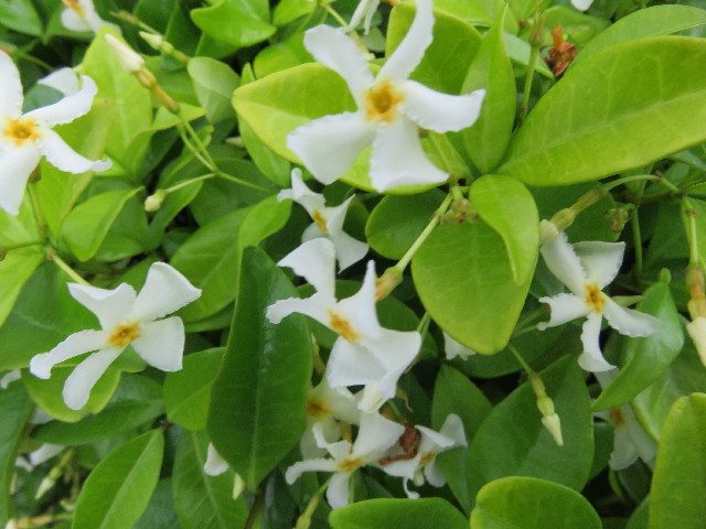 ファイル 5718-4.jpg