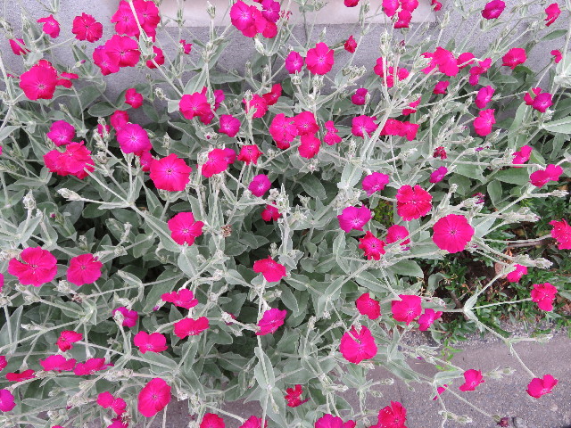 ファイル 5718-5.jpg