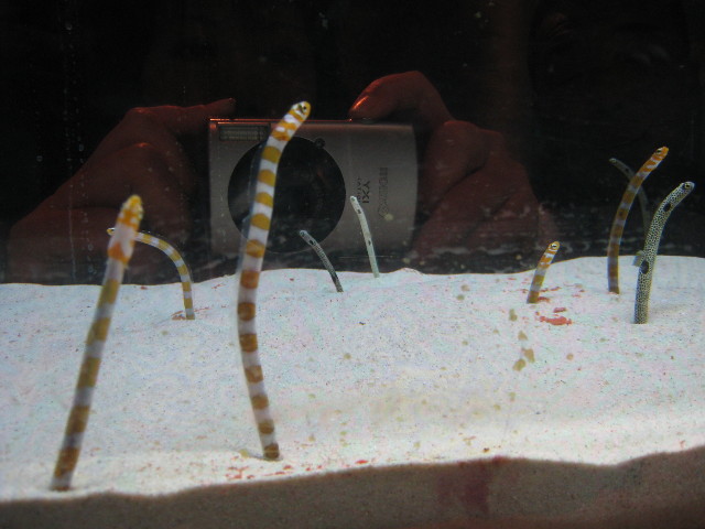 ファイル 572-4.jpg