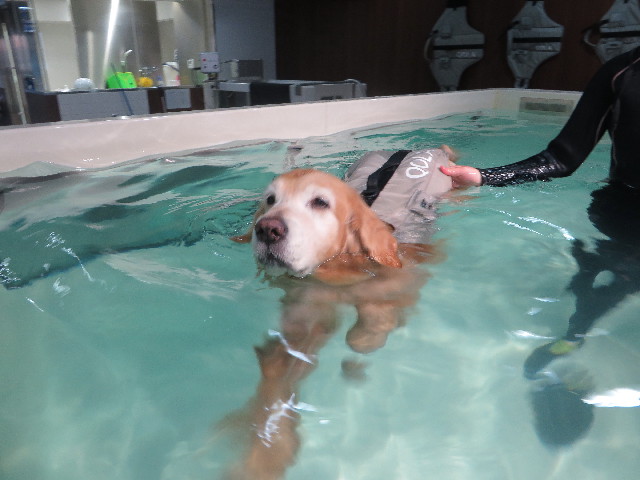 ファイル 5721-2.jpg