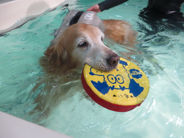 ファイル 5721-3.jpg