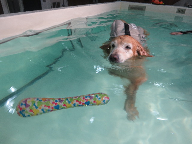 ファイル 5721-4.jpg