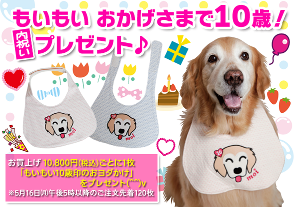 ファイル 5722-1.png