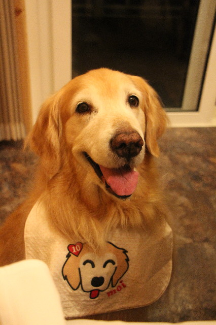 ファイル 5722-2.jpg