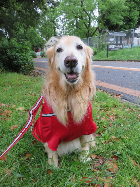 ファイル 5725-5.jpg