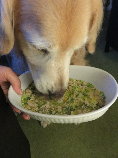 ファイル 5726-2.jpg