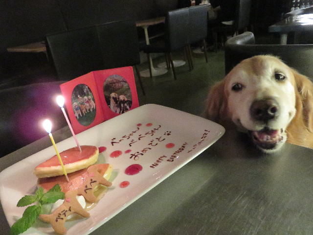 ファイル 5726-3.jpg