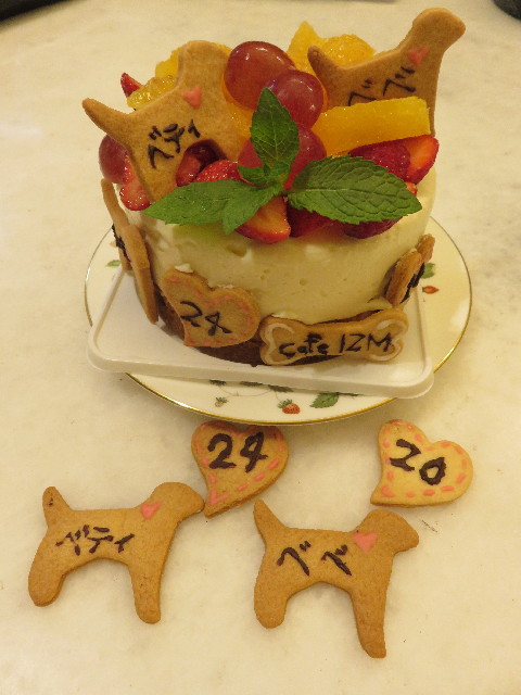 ファイル 5726-4.jpg