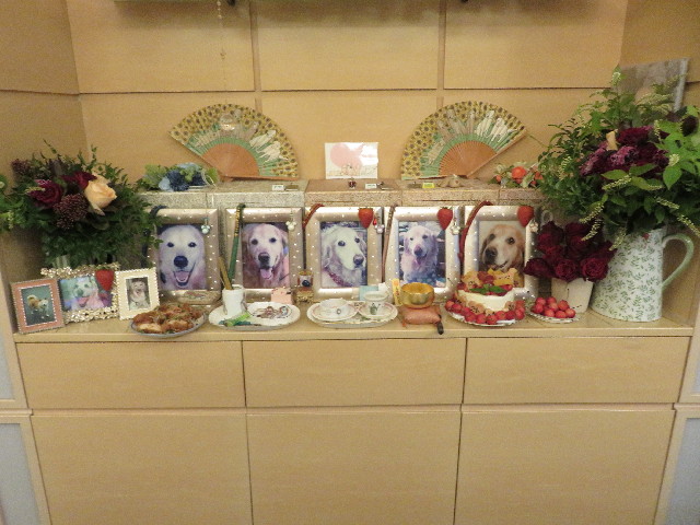 ファイル 5726-5.jpg