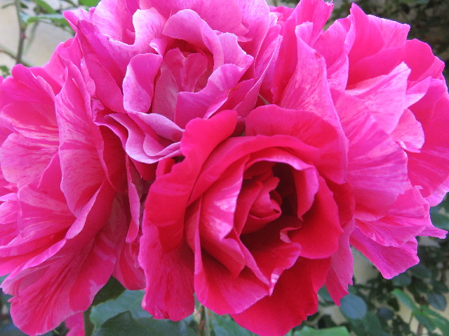 ファイル 5727-2.jpg