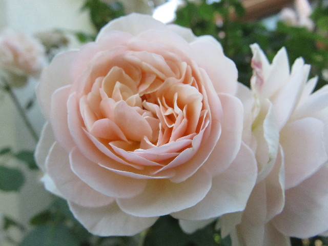 ファイル 5727-3.jpg