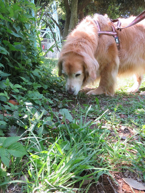 ファイル 5728-2.jpg