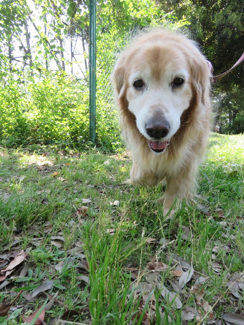 ファイル 5728-3.jpg