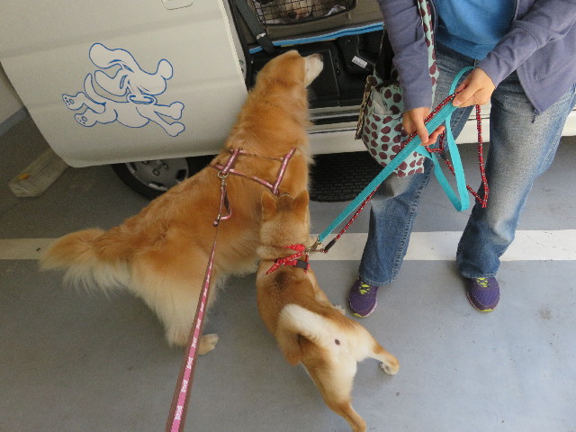 ファイル 5728-4.jpg