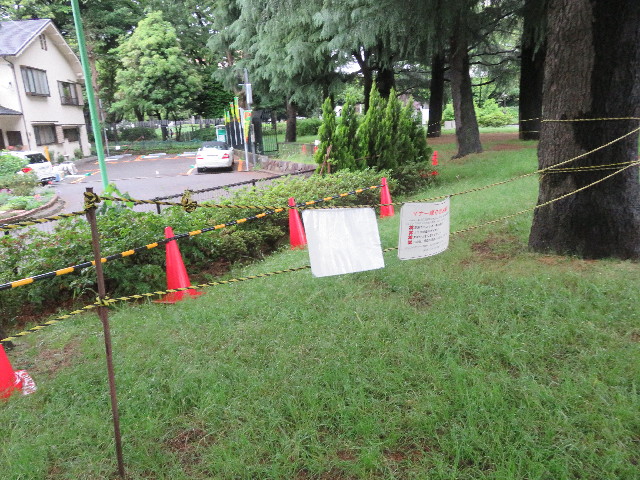 ファイル 5730-1.jpg