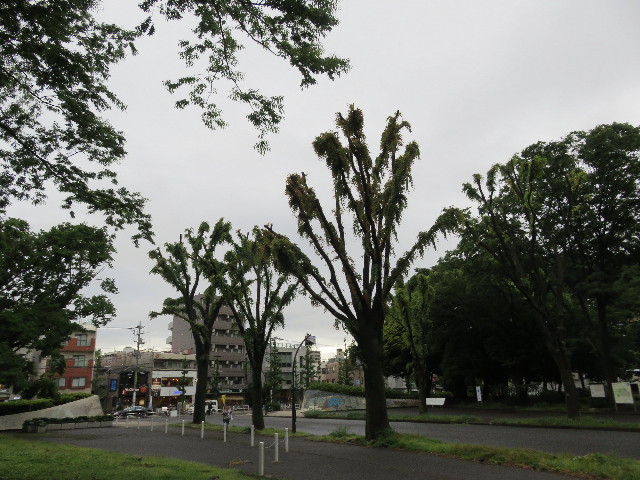 ファイル 5730-3.jpg