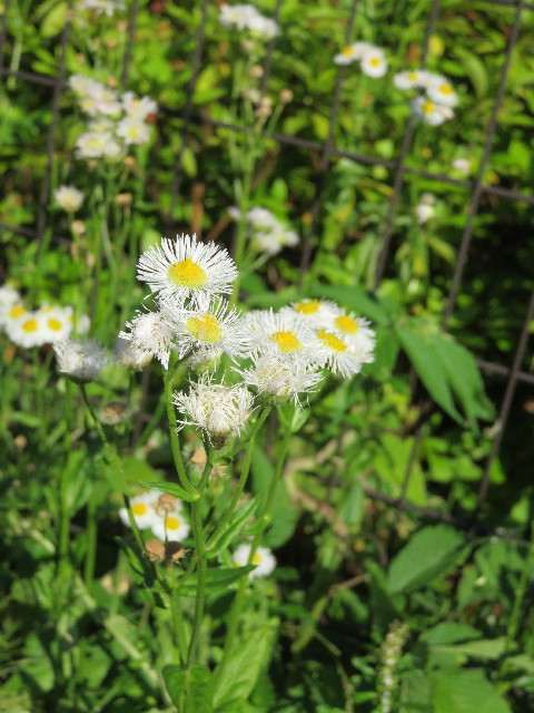 ファイル 5730-5.jpg