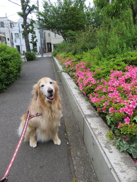 ファイル 5733-1.jpg