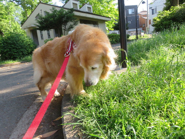 ファイル 5735-5.jpg