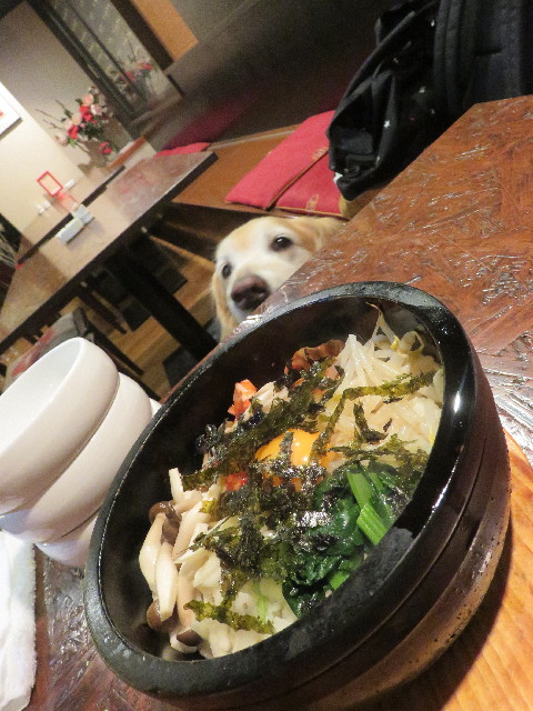 ファイル 5736-4.jpg