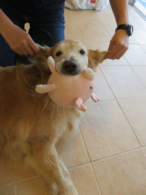 ファイル 5737-5.jpg