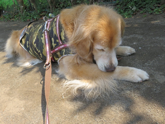 ファイル 5738-4.jpg