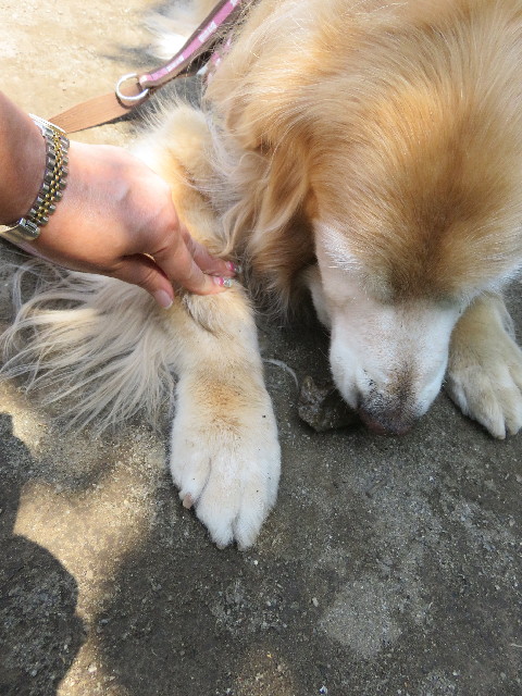 ファイル 5738-5.jpg