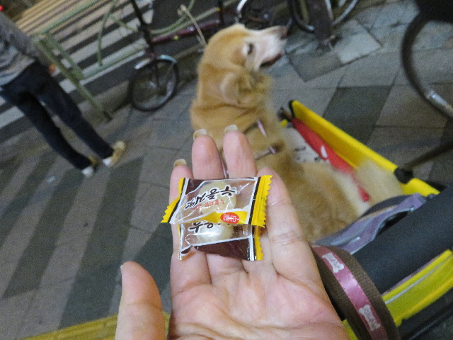 ファイル 5739-5.jpg