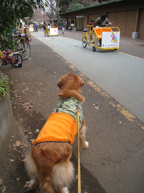 ファイル 574-1.jpg