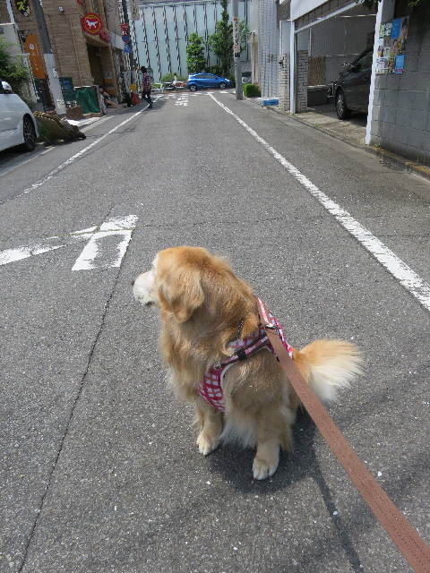 ファイル 5740-1.jpg