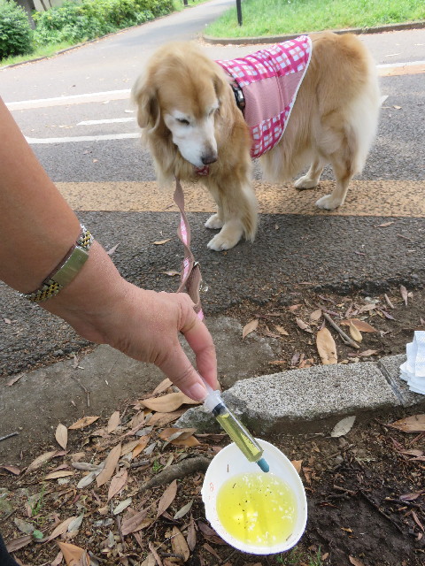 ファイル 5740-2.jpg