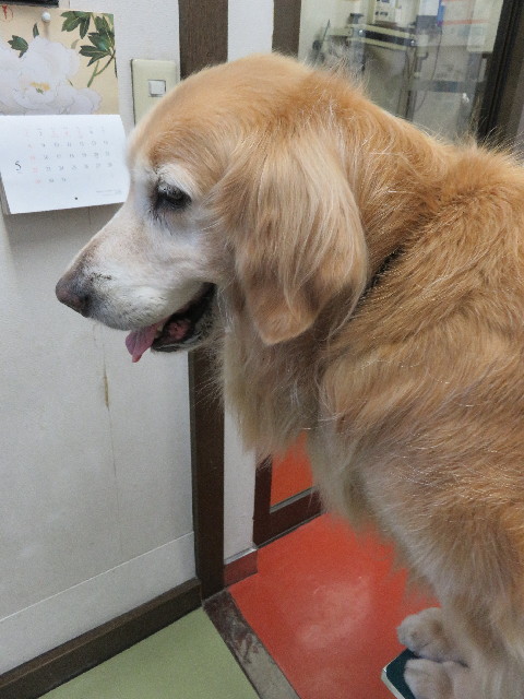 ファイル 5740-3.jpg