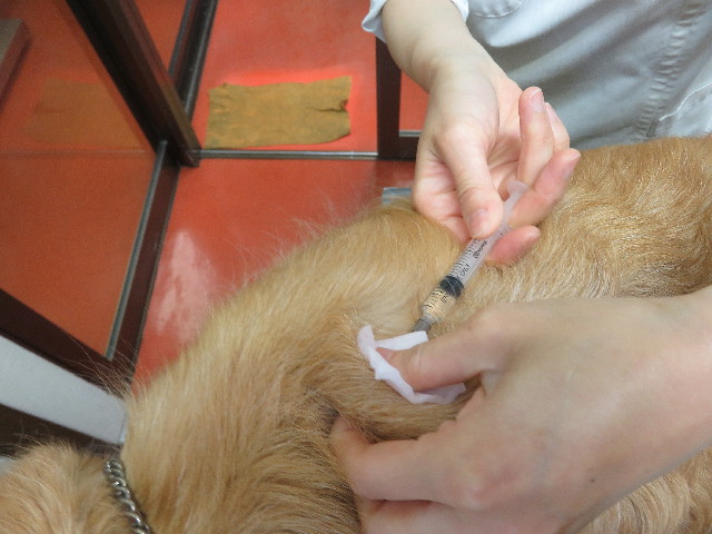 ファイル 5740-4.jpg