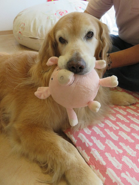 ファイル 5740-5.jpg