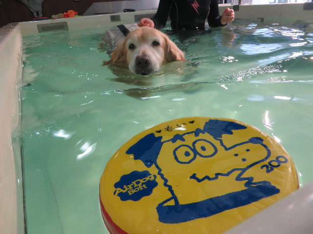 ファイル 5741-2.jpg