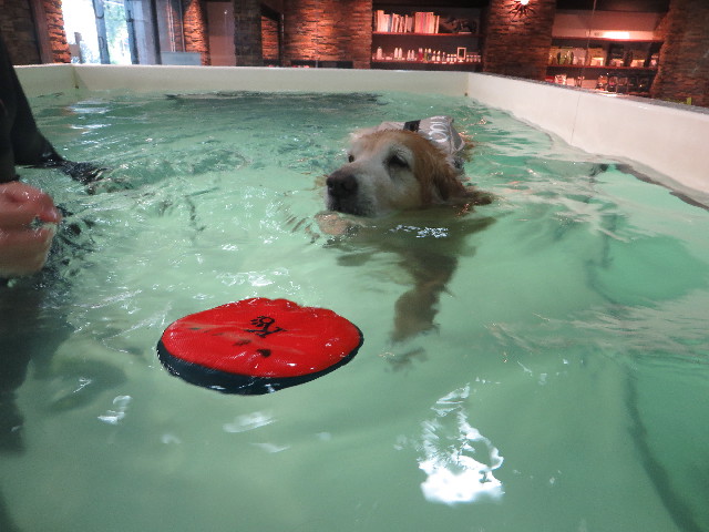 ファイル 5741-4.jpg